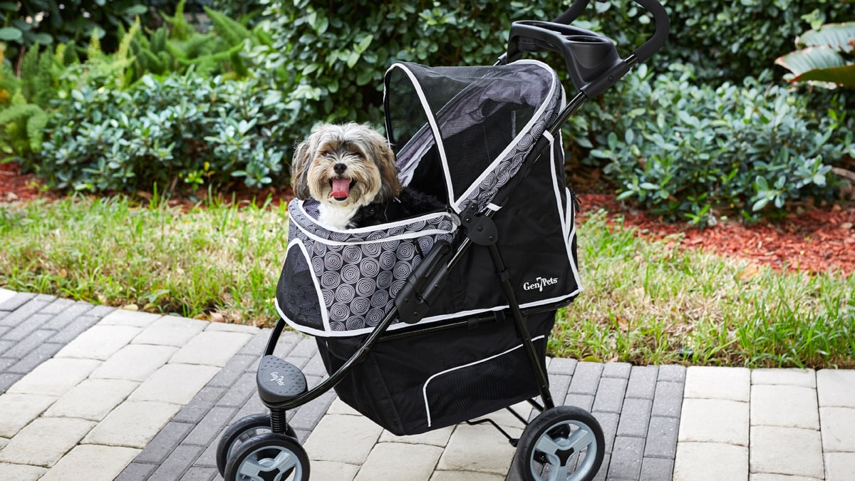 dog pushchair for sale