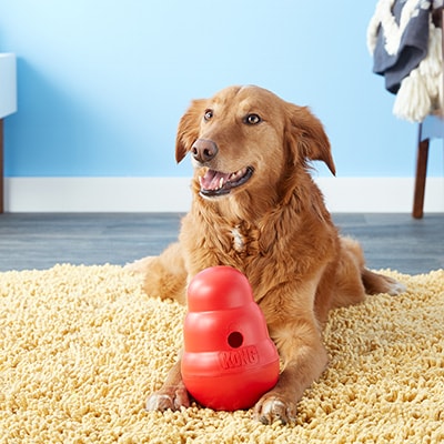 dog separation anxiety toys