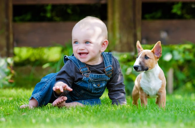 friendly dogs for babies