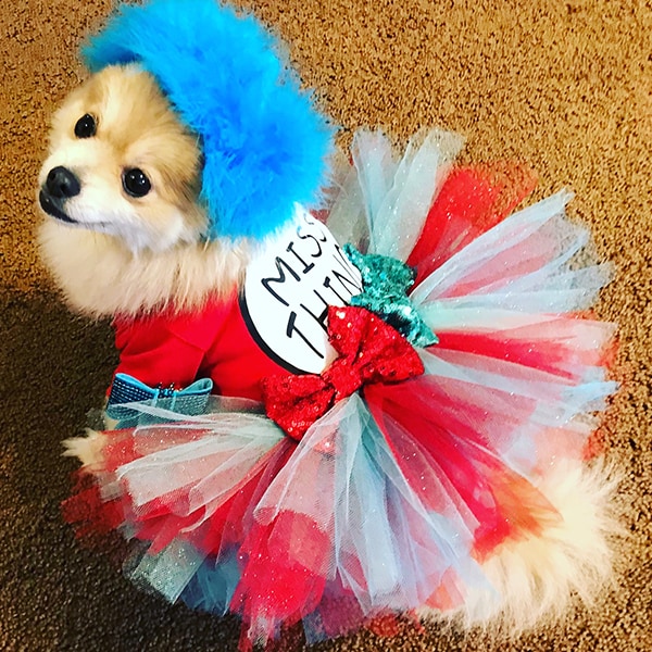 19 Best Dog Costumes For A Howl Ing Good Halloween