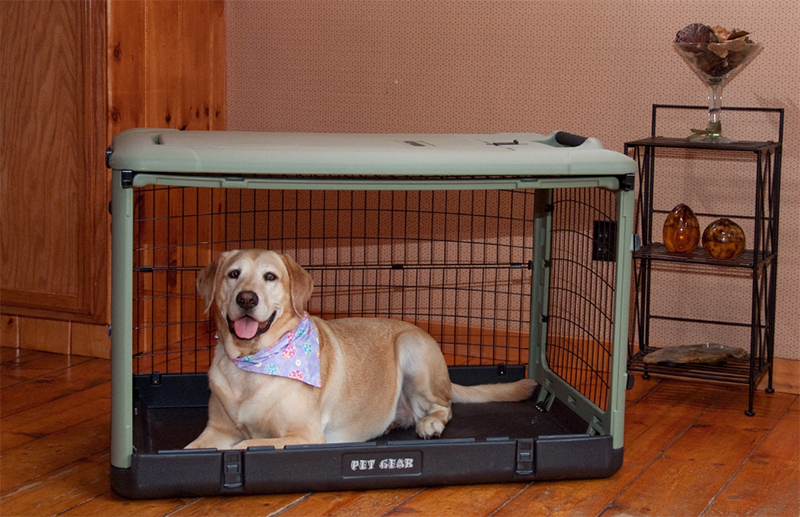 chew proof dog kennel