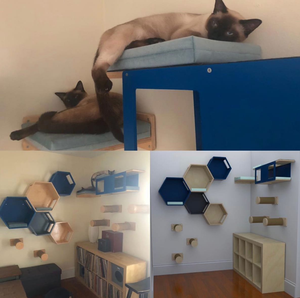 cat room tour