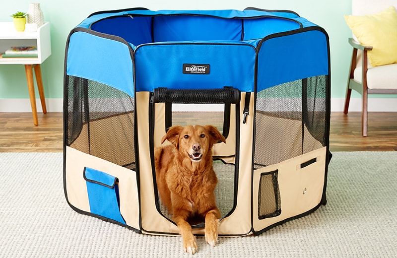 you and me dog pen