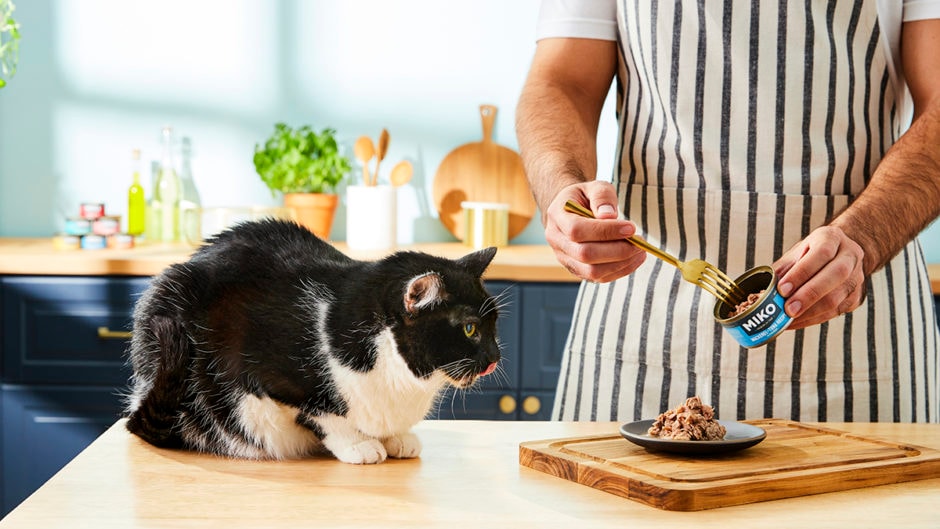 cat foods to avoid