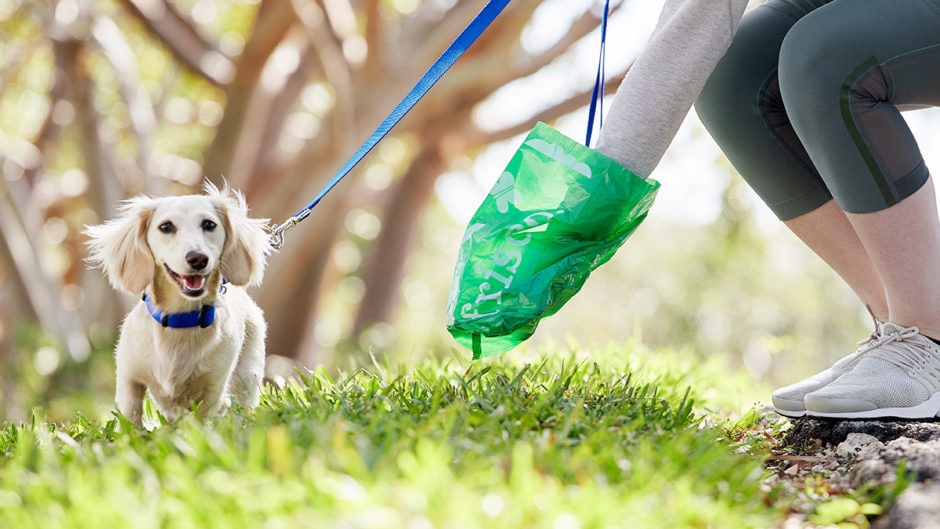 Dog Poop Disposal Tips for Properly Cleaning Up After