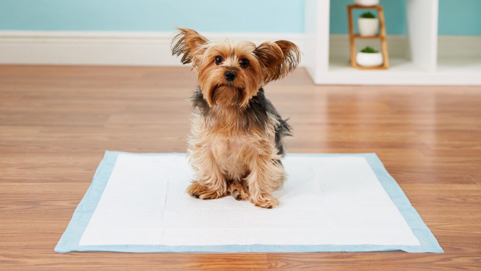 Indoor Puppy Dog Pet House Potty Training Pee Pad Mat Tray Toilet Odorless BWHWC 